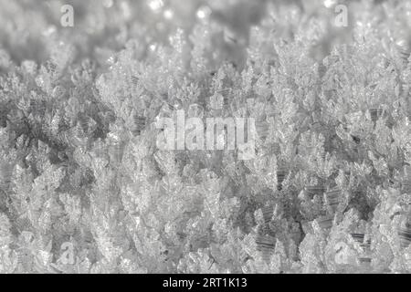 Immagine macro di cristalli di ghiaccio cristallini. Preso dall'alto Foto Stock
