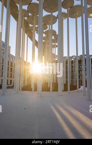 SAB Forum, progettato dagli architetti londinesi ACME, 165 milioni di euro. Il Forum è un giardino di colonne di fronte al SAB, composto da 159 colonne Foto Stock