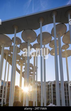 SAB Forum, progettato dagli architetti londinesi ACME, 165 milioni di euro. Il Forum è un giardino di colonne di fronte al SAB, composto da 159 colonne Foto Stock