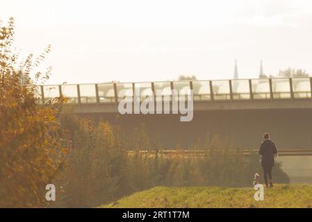 Una donna irriconoscibile vista da dietro che cammina con il suo cane scatenato nella nebbia mattutina con alberi colorati e ponte autostradale dentro Foto Stock