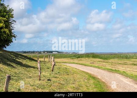 Sentiero escursionistico lungo il mare di Wadden Foto Stock