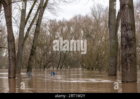 Alluvione del 2020 febbraio sul Reno vicino a Rodenrichen Foto Stock