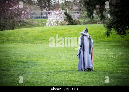 Christchurch, nuova Zelanda, 16 settembre 2019: Il famigerato mago di Christchurch nei giardini botanici in una calda giornata primaverile in nuova Zelanda Foto Stock