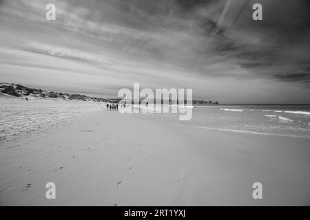 L'iconica Cape Woolamai Surf Beach e Cowrie Patch Beach a Phillip Island, Victoria, Australia Foto Stock