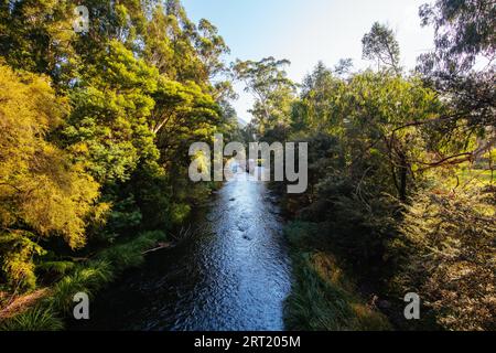 La luce del pomeriggio in autunno è proiettata sul fiume Yarra vicino alla Warburton Highway a Warburton, Victoria, . Australia Foto Stock