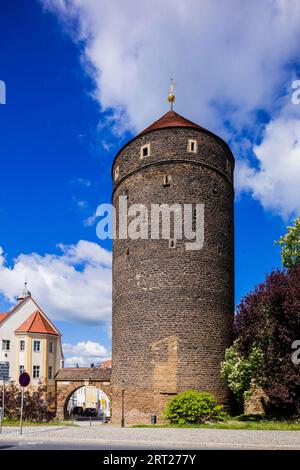 Donat Tower a Freiberg Foto Stock