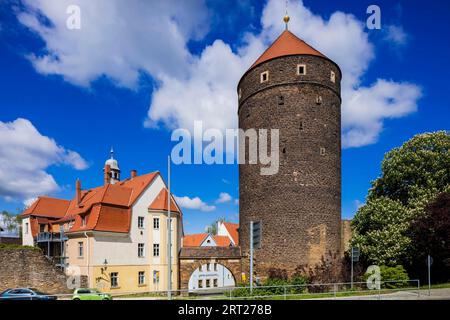 Donat Tower a Freiberg Foto Stock