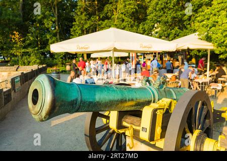 Picnic mattutino sopra la valle dell'Elba, fortezza di Koenigstein. La colazione con champagne è servita al mattino sull'altopiano di Blitzeichen Foto Stock