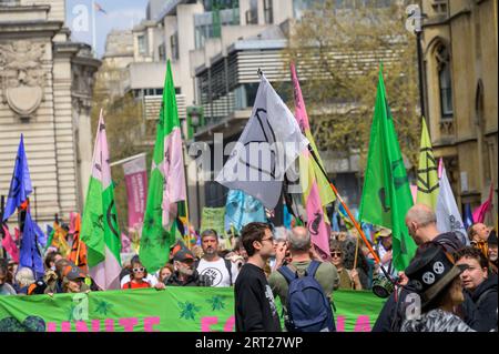 LONDRA - 22 aprile 2023: Il clima di Londra: I manifestanti XR convergono in città, sullo sfondo suggestivo di colorate bandiere di protesta, und Foto Stock