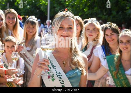 Friburgo, Germania. 10 settembre 2023. Lea Blumenthal (al centro), la 53a Saale-Unstrut Regional Wine Queen 2023/24, si trova nella piazza del mercato dopo la sua incoronazione insieme alle regine di vino delle vicine regioni vinicole. Nel centro della città di Friburgo, nel quartiere Burgenland, si celebra anche il 90° Festival del vino con una parata. Crediti: Heiko Rebsch/dpa/Alamy Live News Foto Stock