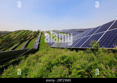 pannello solare sulla collina, primo piano della foto Foto Stock