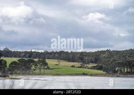 fattoria vicino alla spiaggia in australia in primavera Foto Stock