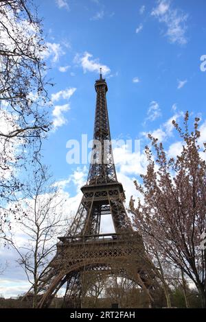 Torre Eiffel e fiori di ciliegio a Parigi, Francia Foto Stock