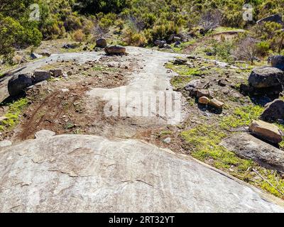 Una calda giornata al parco per mountain bike la Larr Ba Gauwa Park ad Harcourt, Victoria, Australia Foto Stock