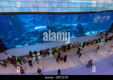 Dubai, Emirati Arabi Uniti, 19 luglio 2018: Persone di fronte all'enorme Dubai Mall Aquarium Foto Stock