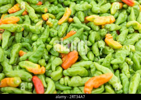 Pepe murupi verde fresco e maturo spalmato dappertutto al mercato di strada Foto Stock