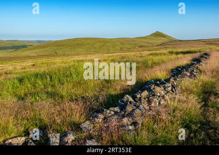 Collina di Shutlingsloe nel Peak District National Park Foto Stock