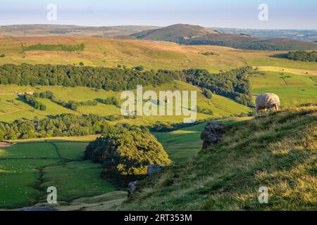 Wildboarclough, una valle nel sud-ovest del Peak District National Park, Regno Unito. I Roaches in lontananza Foto Stock