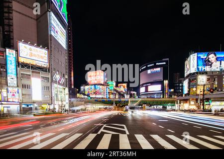 Shinjuku, Giappone, 18 maggio 2019: I cartelli al neon illuminano il trafficato quartiere Shinjuku di Tokyo di notte Foto Stock