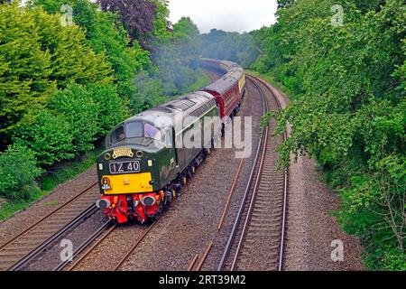 La Pathfinder Tours organizza un'escursione da Burton a Trent a Weymouth per celebrare i 50 anni di attività. Il treno si trova nel New Forest Hampshire. Foto Stock