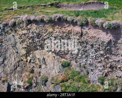 Strati rocciosi esposti nelle scogliere costiere sulla costa rocciosa e aspra dell'Atlantico dell'Isola di Lewis nelle Ebridi esterne, Scozia, Regno Unito. Preso da un sole Foto Stock