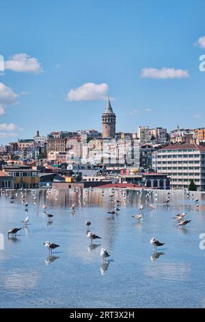 Istanbul, Turchia - 10 settembre 2023: Vista di Galata dalla terrazza del Museo d'Arte moderna di Istanbul con gabbiani nella piscina di riflessione Foto Stock