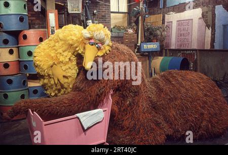 Una foto del 1978 delle prove sul set di Sesame Street che mostra Big Bird (Carroll Spinney) giocoso e affettuoso con Mr. Snuffleupagus (Jerry Neslon). Nell'Upper West Side di Manhattan. Foto Stock