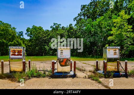 Le pompe di gas abbandonate sono raffigurate presso donna's Grocery and Deli, 4 agosto 2023, a Coden, Alabama. Foto Stock