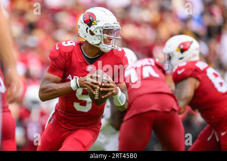 Landover, MD, USA. 10 settembre 2023. Il quarterback degli Arizona Cardinals Joshua Dobbs (9) torna a passare durante la partita tra gli Arizona Cardinals e i Washington Commanders a Landover, MD. Reggie Hildred/CSM/Alamy Live News Foto Stock