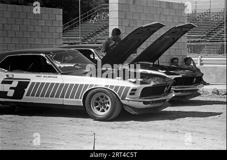 1971 Watkins Glen Trans AM, Ford Mustang Boss 302, Tony DeLorenzo, iniziato 6°, DNF Foto Stock