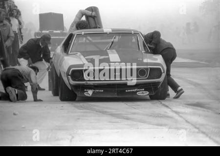 1971 Watkins Glen Trans am, Peter Revson, American Racing Associates AMC Javelin AMX Foto Stock