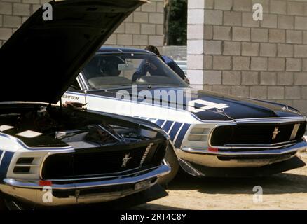 1971 Watkins Glen Trans AM, Ford Mustangs Boss 302, piloti - Tony DeLorenzo, Jerry thompson Foto Stock
