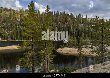 Alberi alpini e Bear Lake nell'Emigrant Wilderness Foto Stock