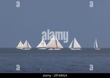 Gara annuale di skipjack su barche a vela a Chesapeake Bay, Maryland Foto Stock