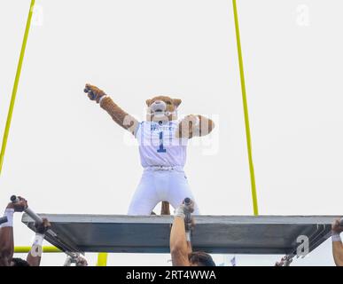 Lexington, Kentucky, USA. 9 settembre 2023. La mascotte del Kentucky si esibisce per la folla durante la partita di football NCAA tra gli EKU Colonels e i Kentucky Wildcats al Kroger Field di Lexington, Kentucky. Kyle Okita/CSM/Alamy Live News Foto Stock