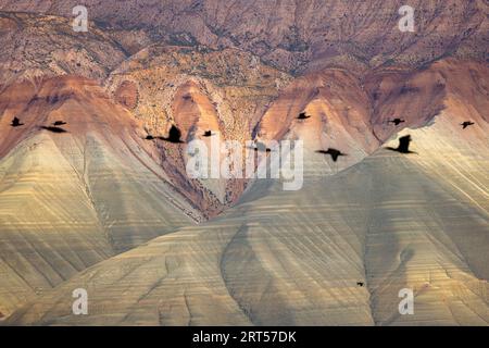 Veduta aerea di Ankara, Nallıhan Bird Paradise. Foto Stock