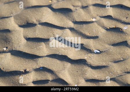 Una tranquilla spiaggia caratterizzata da una costa sabbiosa sotto la luce del sole Foto Stock