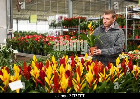 Uomo che sceglie i fiori in vaso in negozio giardino Foto Stock