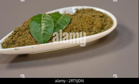 Foglie di henné e polvere in ciotola in ceramica su sfondo grigio. Foto Stock