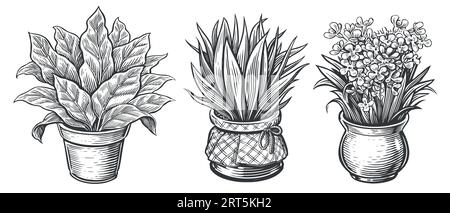 Raccolta di vasi di fiori di piante da casa. Schizzo del set di piante domestiche. Illustrazione vettoriale di oggetti isolati Flowerpot Illustrazione Vettoriale