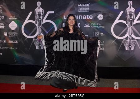 Guadalajara, Messico. 9 settembre 2023. 9 settembre 2023, Guadalajara, Messico: Arcelia Ramirez partecipa al Red carpet del 65° Ariel Awards. Il 9 settembre 2023 a Guadalajara, Messico. (Foto di Julian Lopez/ Eyepix Group) (foto di Eyepix/NurPhoto) credito: NurPhoto SRL/Alamy Live News Foto Stock