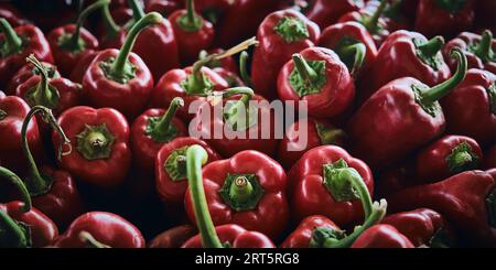 Peperoni maturi in un mercato agricolo. Peperoni rossi biologici in vendita Foto Stock