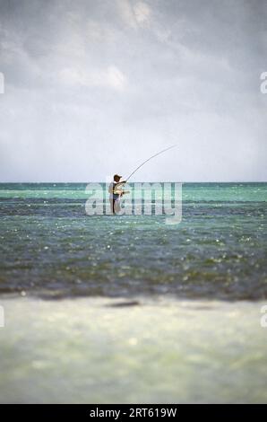 Pesca con la mosca nelle Florida Keys. Foto Stock