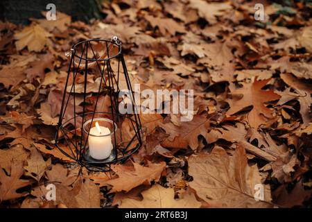 Moderna lanterna nera minimalista con candela a fuoco sullo sfondo delle foglie autunnali nella foresta. Ciao, autunno! Lanterna luminosa in morbidi boschi autunnali. Copia Foto Stock