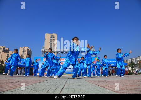 Contea di Luannan - 8 agosto 2017: Mostra di esercizi di body building in un parco, contea di Luannan, provincia di Hebei, cina. Foto Stock