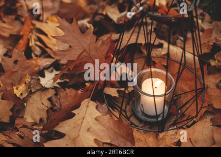 Moderna lanterna nera minimalista con candela a fuoco sullo sfondo delle foglie autunnali nella foresta. Ciao, autunno! Lanterna luminosa in morbidi boschi autunnali. Copia Foto Stock