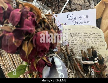 Londra, Regno Unito. 10 settembre 2023. Come memoriale di Amy Winehouse, la gente ha fatto un albero a Camden Square Park - con fiori e regali ricordano il musicista, che è morto all'età di 27 anni. Nel 14.09.2023 Amy Winehouse avrebbe compiuto 40 anni. (A dpa-Korr 'testardamente diverso - Amy Winehouse avrebbe compiuto 40') credito: Julia Kilian/dpa/Alamy Live News Foto Stock