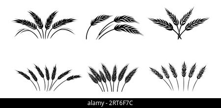 Icona del logo Wheat Set Ears of Wheat su sfondo bianco. Illustrazione vettoriale Illustrazione Vettoriale