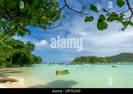 Barche colorate e acqua trasparente nella laguna di Anse l'Islette, l'isola di Mahé, le Seychelles Foto Stock