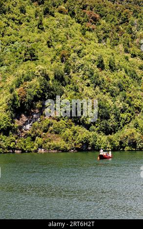 Paesaggio di fiordi cileni nel fiordo di Aysen vicino all'area circostante Puerto Chacabuco, Patagonia, Cile, Sud America Foto Stock